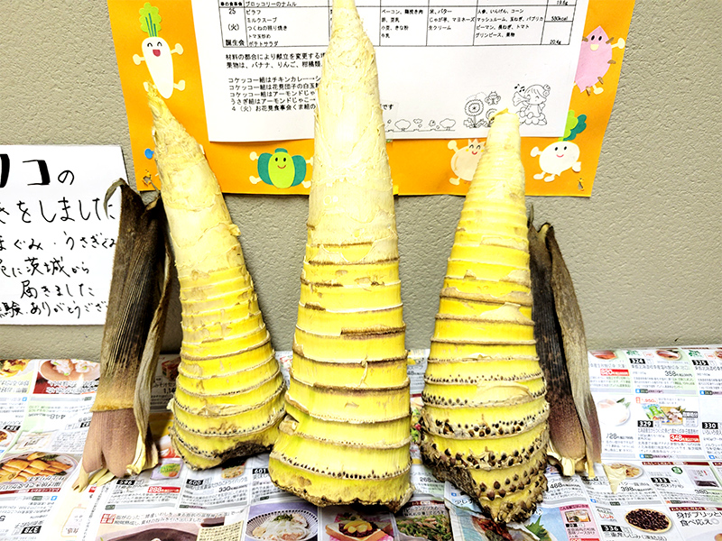 ひまわり育児室《うさぎ組こいのぼり製作》